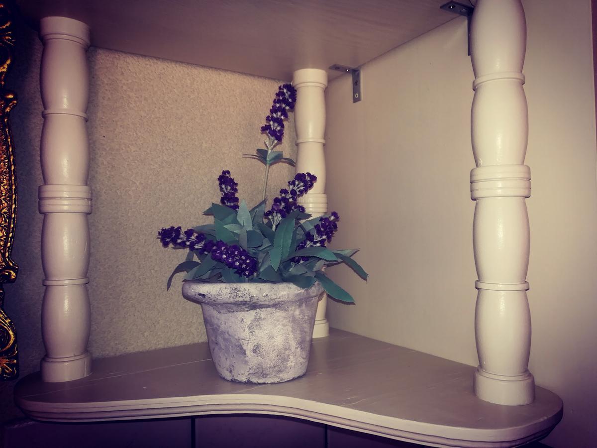 Apartment Ines ノヴィ・ヴィノドロスキー エクステリア 写真